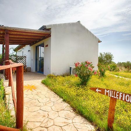 הוילה אולביה Agriturismo Mieleamaro מראה חיצוני תמונה