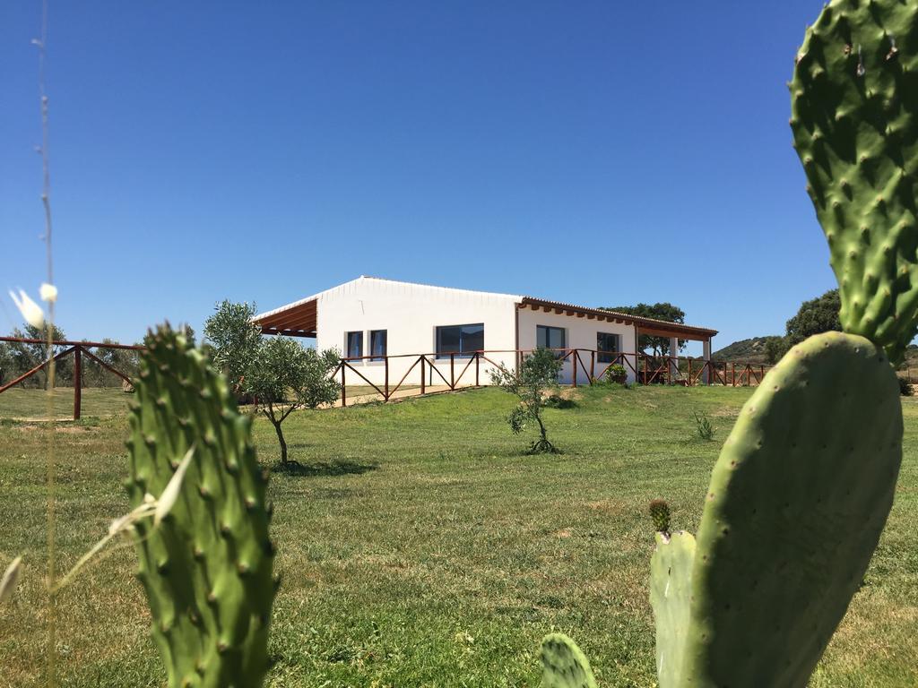 הוילה אולביה Agriturismo Mieleamaro מראה חיצוני תמונה