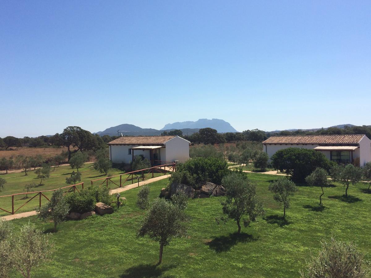 הוילה אולביה Agriturismo Mieleamaro מראה חיצוני תמונה