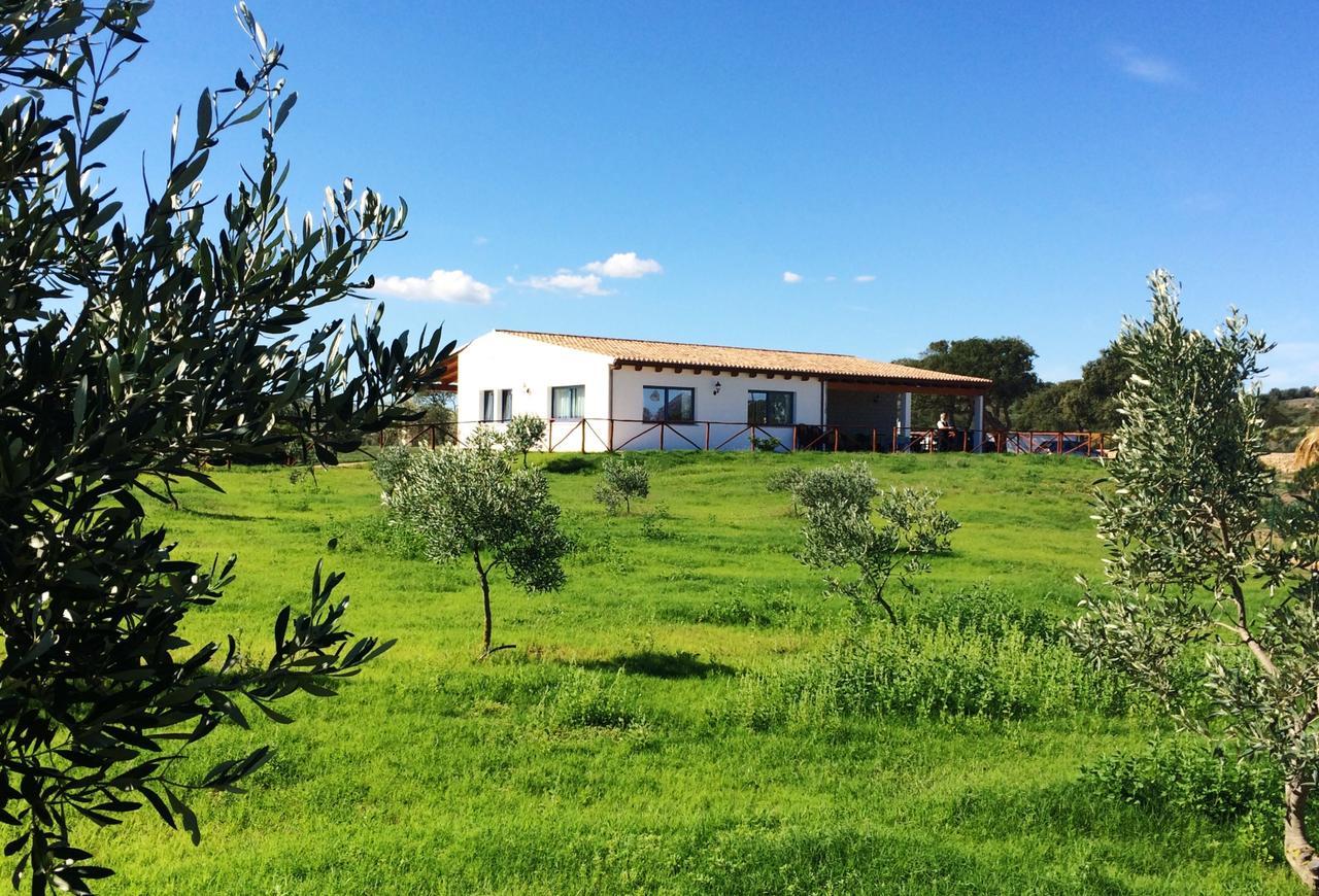 הוילה אולביה Agriturismo Mieleamaro מראה חיצוני תמונה