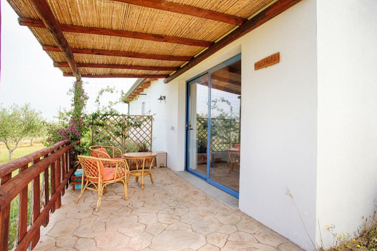 הוילה אולביה Agriturismo Mieleamaro מראה חיצוני תמונה