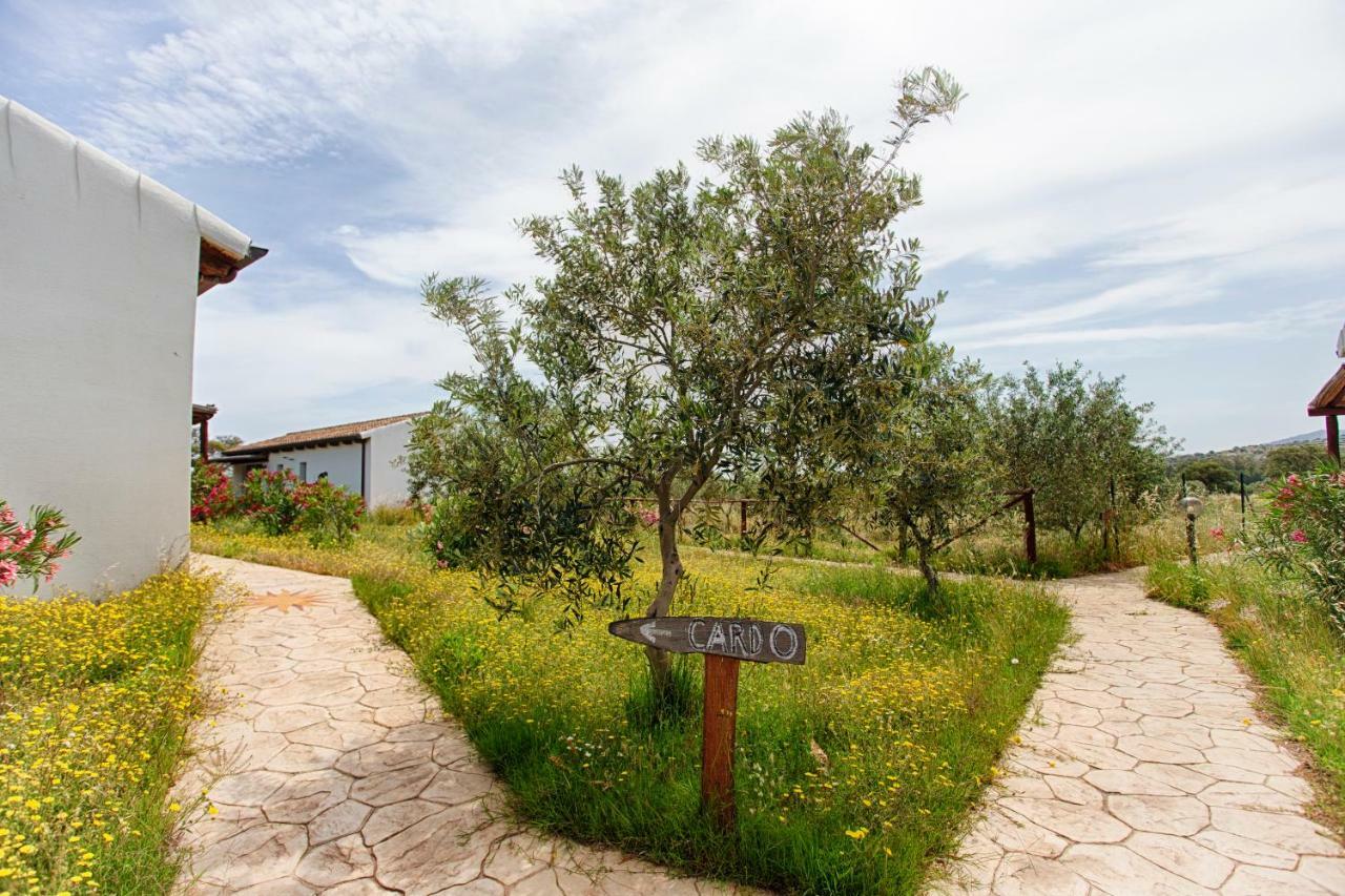 הוילה אולביה Agriturismo Mieleamaro מראה חיצוני תמונה